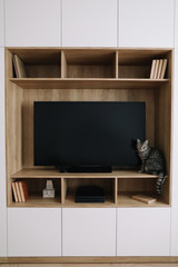 Living room interior with TV and a white wardrobe. Cute cat indoor shooting. Home interior design, scandinavian style