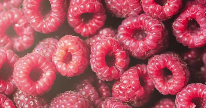 Close Up Rotation Loopable Berry. Fresh, Juicy Raspberry Background, Ripe. Macro Red Raspberries Fruit. Fresh Raspberry Fruits As Food Dackground. Healthy Food Organic Nutrition.