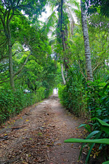 Guaecá