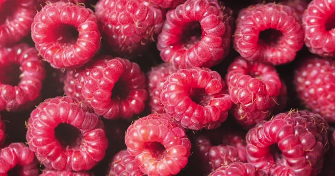 Close Up Rotation Loopable Berry. Fresh, Juicy Raspberry Background, Ripe. Macro Red Raspberries Fruit. Fresh Raspberry Fruits As Food Dackground. Healthy Food Organic Nutrition.
