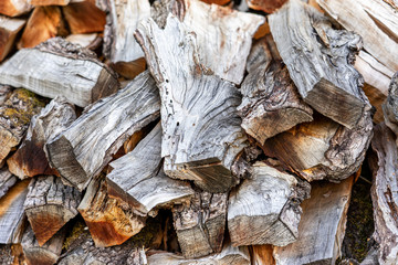 Split Dry Firewood Texture Background