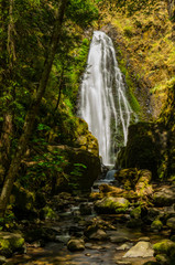 Fototapeta na wymiar Waterfalls in Oregon