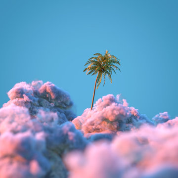 palm tree among the clouds