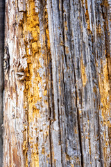 Fototapeta premium Old Grunge Wooden Background Texture