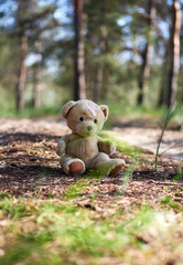 abandoned brown teddy bear sitting in the middle of the forest