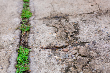 Worn and cracked asphalt with big cracks. Old road concrete texture with cracks. Cement cracked background. Cracks on concrete.