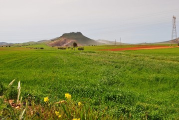 Campgne algerienne