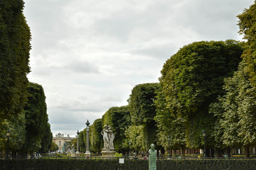 Fototapeta na wymiar Luxembourg Gardens