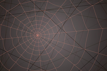 concentric white web on a gray background