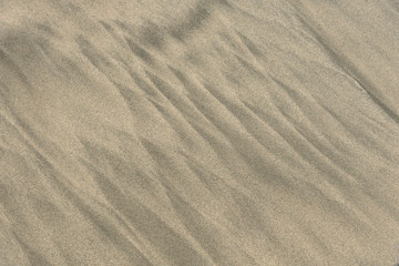 Two color sand beach due to undertow. Geometric abstract pattern left by ocean tide
