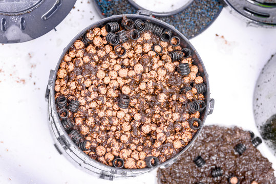 cleaning the filter for the aquarium, a device for maintaining cleanliness in the aquarium