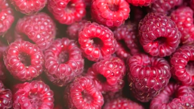 Close Up Rotation Loopable Berry. Fresh, Juicy Raspberry Background, Ripe. Macro Red Raspberries Fruit. Fresh Raspberry Fruits As Food Dackground. Healthy Food Organic Nutrition.