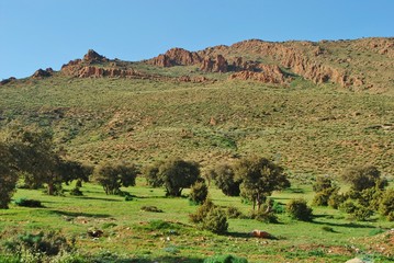 Fototapeta premium Algerie: Massif de Tenouchfi, versant sud
