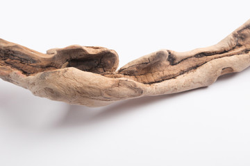 Driftwood in front of a white background