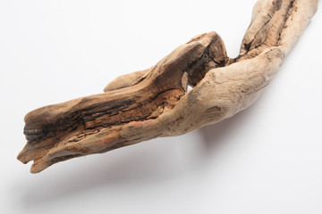 Driftwood in front of a white background