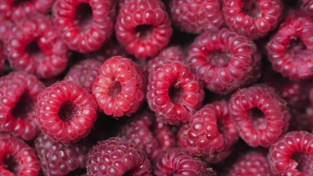 Close Up Rotation Loopable Berry. Fresh, Juicy Raspberry Background, Ripe. Macro Red Raspberries Fruit. Fresh Raspberry Fruits As Food Dackground. Healthy Food Organic Nutrition.