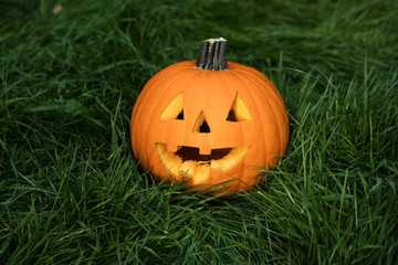 jack-o-lantern, halloween carved pumpkin