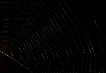 spider web on black background