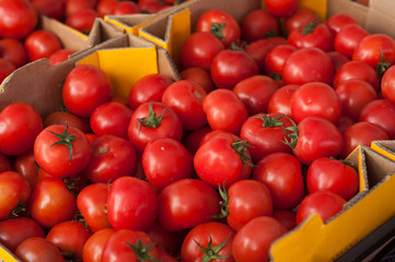 Closeup of organic tomatoes at the market