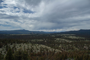 Montana Landscape 6