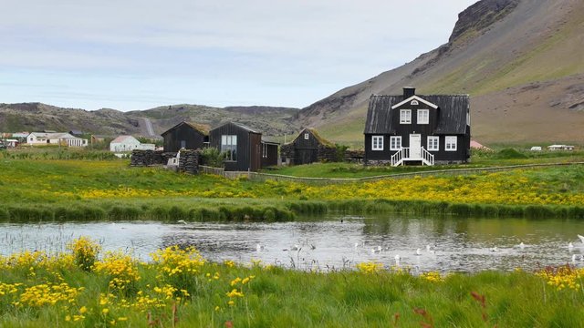 Arnarstapi -  village, clifs, landscapes of Iceland.
