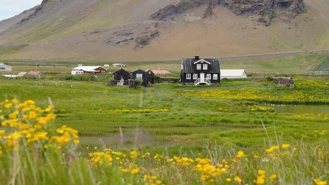 Arnarstapi -  village, clifs, landscapes of Iceland.