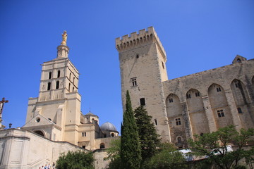 le palais des papes et la cathédrale