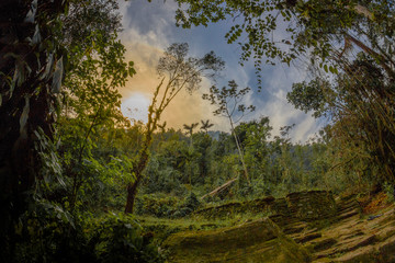 Lost City from Colombia
