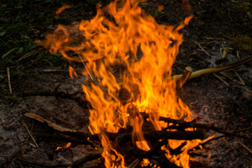  Bonfire in the nature. Bright fire and flame tails.