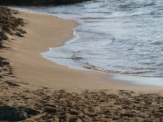 Klares Wasser am Meer 
