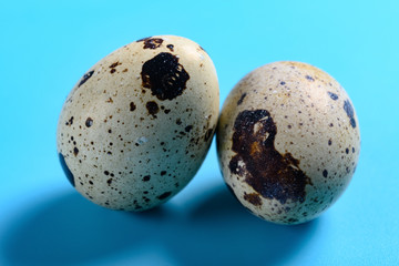 two quail eggs close up on blue background