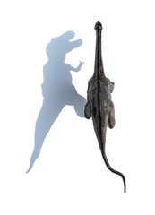 top ivew Diplodocus toy with shadow on a white background