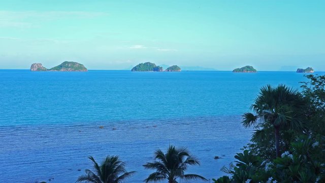 Deep blue sea Palm trees on a tropical beach.Vacation spot for a relax. Travel and tourism.