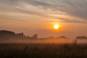 Obraz na płótnie Canvas Dawn in the fog Ecology life style.