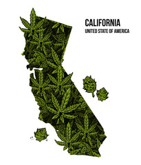 California USA cannabis print design