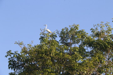 Catemaco, Veracruz