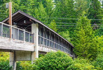 Wood Bridge into Evergreens in Pacific Northwest