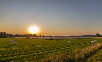 The Green Sunset