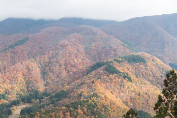 Fototapeta na wymiar Mountain view of Shirakawago in Japan