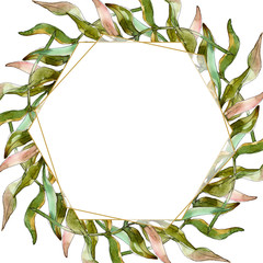 Exotic tropical leaves hawaiian summer. Watercolor background illustration set. Frame border ornament square.