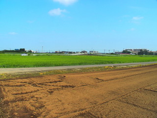 Fototapeta na wymiar 耕作された夏の畑と青田風景