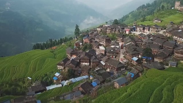 Terraced fields with green or yellow rice, wooden houses with some tiled roofs and green trees in Jiabang, Congjing, Guizhou, China (aerial photography)