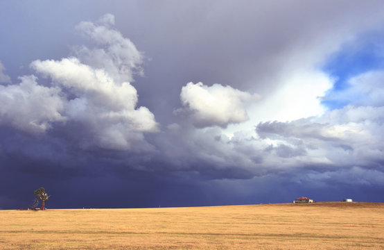 Rural landscape with dramatic storm moving in over yellow field with farm shed and dead tree on the horizon. Near Yass, central west New South Wales, Australia.