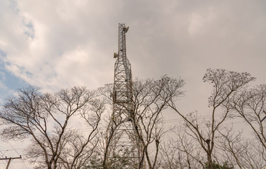 The trees and the communication tower