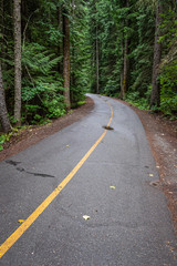 Asphalt nature trail curving in to an evergreen forest, yellow dividing line, Lost Lake Park, Whistler BC Canada