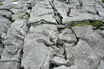 The grey limestone with splits and low green grass
