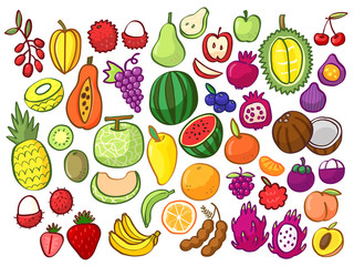 Group of tropical fruits, colorful doodles cartoon clip art isolated on white background vector illustration.