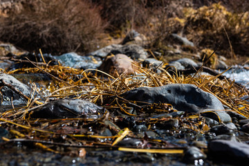 ARROYO DE MONTAÑA, DESHIELOS