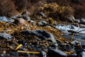 ARROYO DE MONTAÑA, DESHIELOS