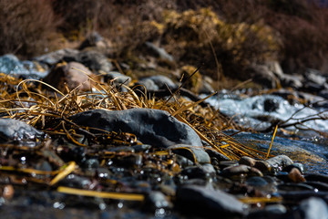 ARROYO DE MONTAÑA, DESHIELOS